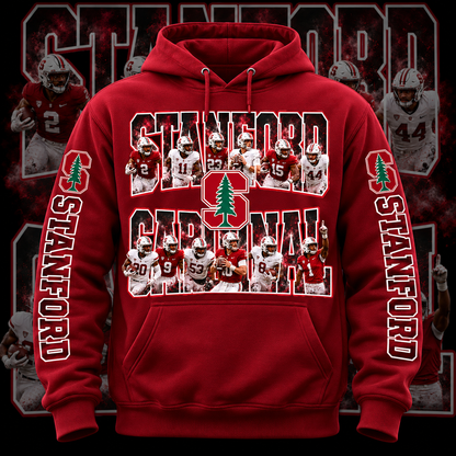 COLLEGE FB HOODIE W/ SLEEVE PRINT COLLECTION