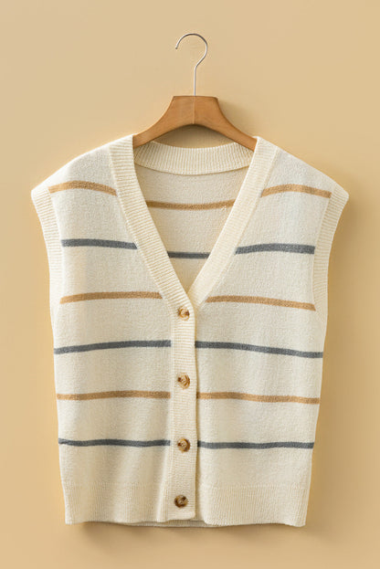 Multicolor Striped Sweater Vest LT