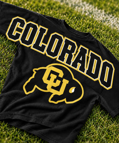 BIG BACK COLLEGE FB COLLECTION