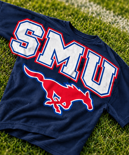 BIG BACK COLLEGE FB COLLECTION